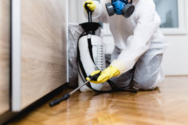 Best Pest Removal Services  in Absecon, NJ