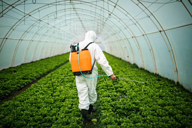 Best Pest Removal Services  in Absecon, NJ