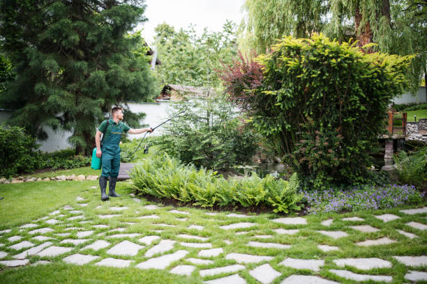 Best Pest Inspection Near Me  in Absecon, NJ
