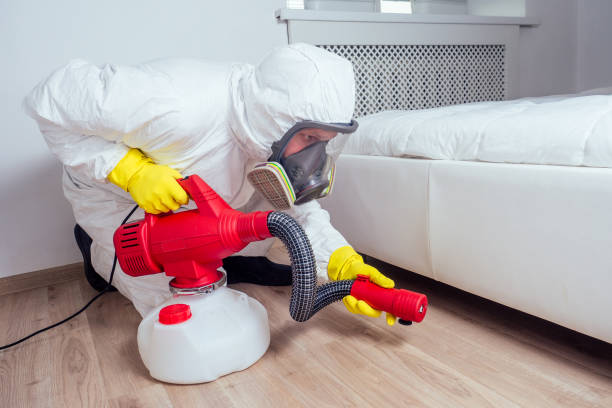 Best Exterminator Services  in Absecon, NJ