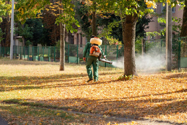 Best Termite Control Services  in Absecon, NJ