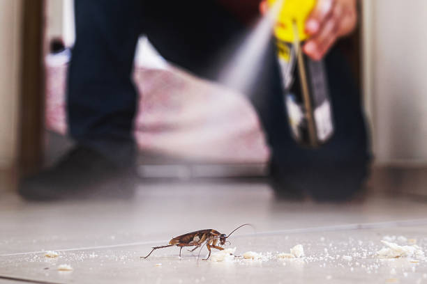 Reliable Absecon, NJ Pest Control Solutions