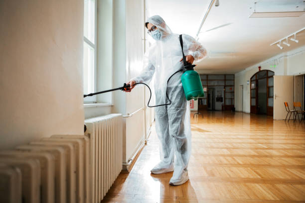 Best Spider Control Near Me  in Absecon, NJ